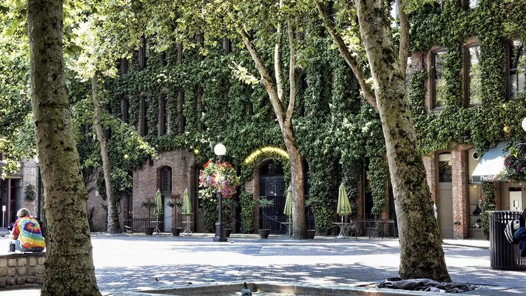 Walkable Cities in the Occidental Park