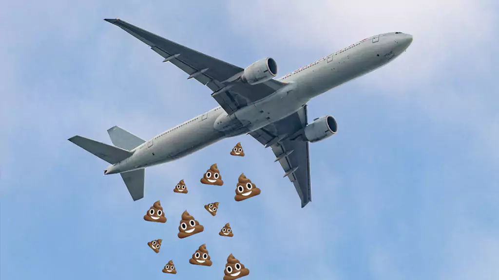 Where Does Poop Go on a Plane?