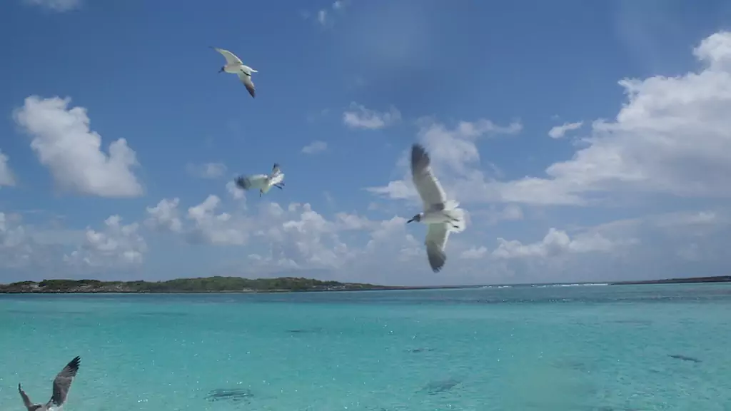 Bahamas Visa 2022