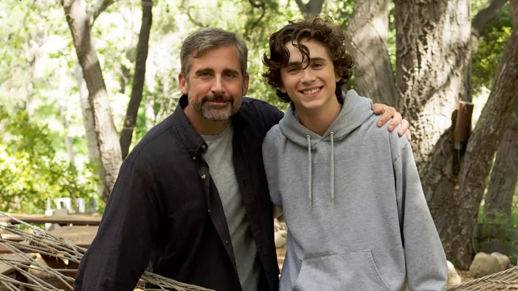 Beautiful Boy (2018)