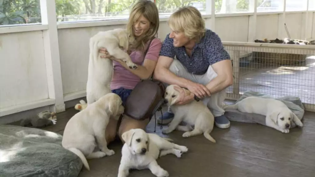 Marley & Me (2008)